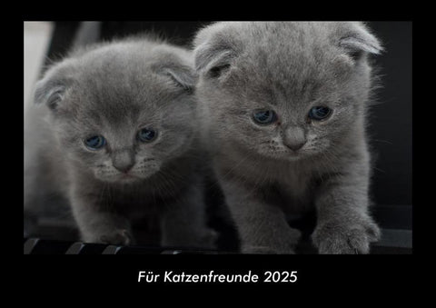 Für Katzenfreunde 2025 Fotokalender DIN A3