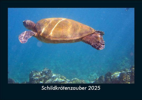 Schildkrötenzauber 2025 Fotokalender DIN A5