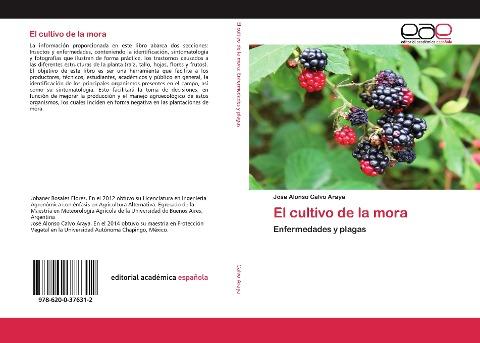 El cultivo de la mora