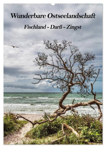 Wunderbare Ostseelandschaft Fischland-Darß-Zingst (Wandkalender 2026 DIN A2 hoch), CALVENDO Monatskalender