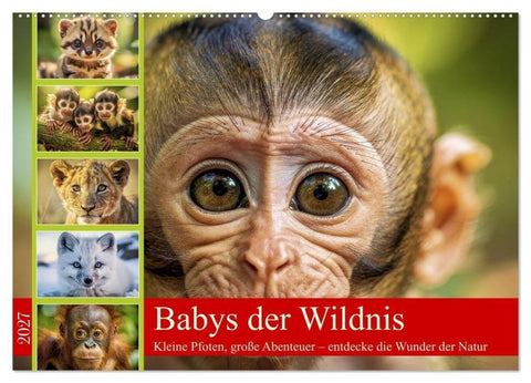 Babys der Wildnis (Wandkalender 2027 DIN A2 quer), CALVENDO Monatskalender