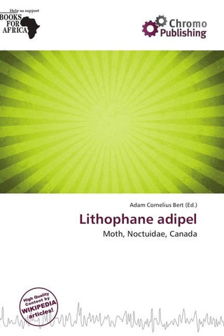 Lithophane adipel