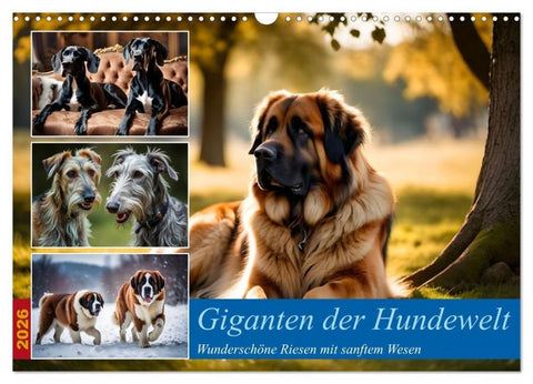 Giganten der Hundwelt (Wandkalender 2026 DIN A3 quer), CALVENDO Monatskalender