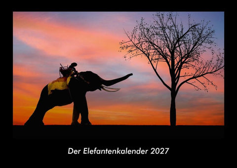 Der Elefantenkalender 2027 Fotokalender DIN A3