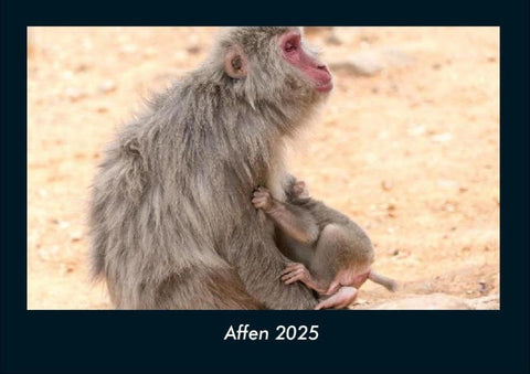 Affen 2025 Fotokalender DIN A4