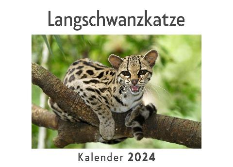 Langschwanzkatze (Wandkalender 2024, Kalender DIN A4 quer, Monatskalender im Querformat mit Kalendarium, Das perfekte Geschenk)