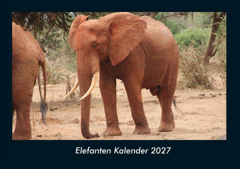Elefanten Kalender 2027 Fotokalender DIN A4