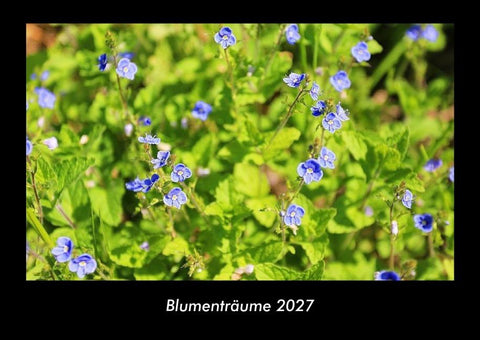 Blumenträume 2027 Fotokalender DIN A3