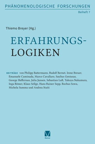 Erfahrungslogiken