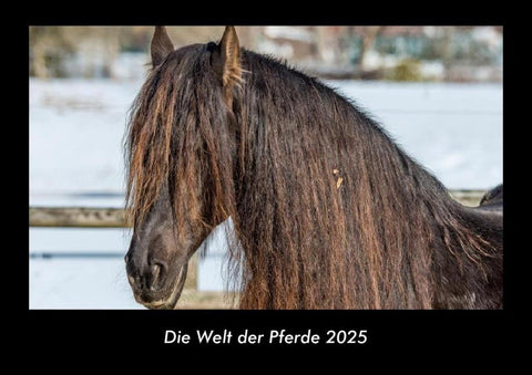 Die Welt der Pferde 2025 Fotokalender DIN A3