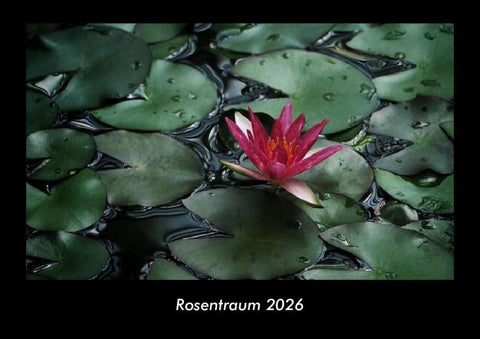 Rosentraum 2026 Fotokalender DIN A3