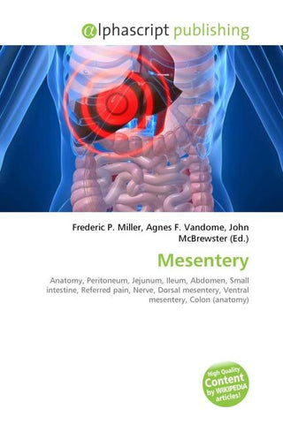 Mesentery