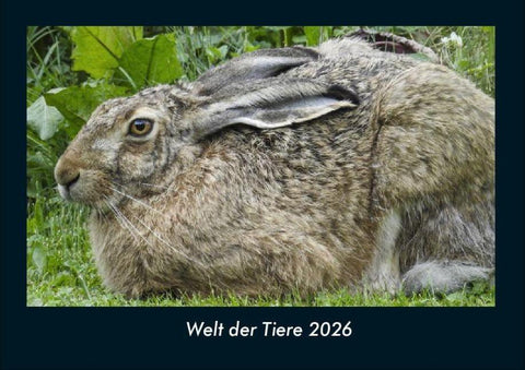 Welt der Tiere 2026 Fotokalender DIN A4