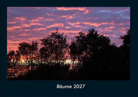 Bäume 2027 Fotokalender DIN A4