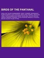 Birds of the Pantanal