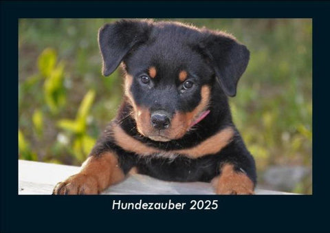 Hundezauber 2025 Fotokalender DIN A5