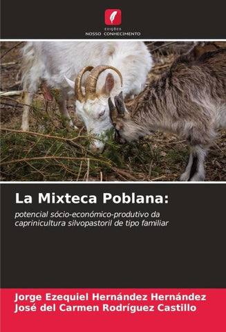 La Mixteca Poblana: