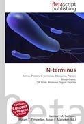 N-terminus