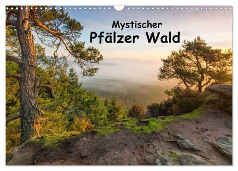 Mystischer Pfälzer Wald (Wandkalender 2026 DIN A3 quer), CALVENDO Monatskalender