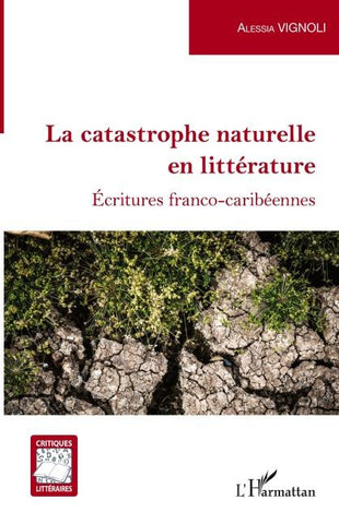 La catastrophe naturelle en littérature