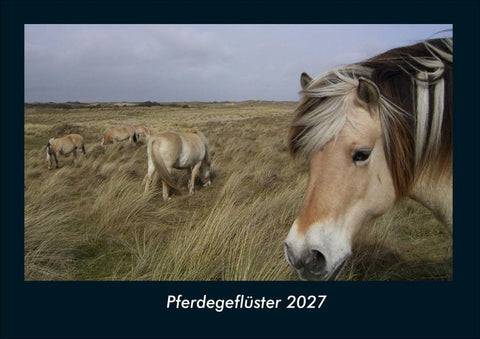 Pferdegeflüster 2027 Fotokalender DIN A4