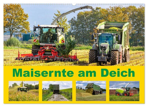 Maisernte am Deich (Wandkalender 2026 DIN A2 quer), CALVENDO Monatskalender