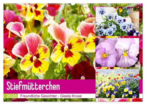 Stiefmütterchen Freundliche Gesichter (Wandkalender 2026 DIN A2 quer), CALVENDO Monatskalender
