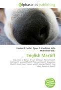 English Mastiff