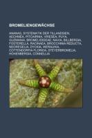 Bromeliengewächse