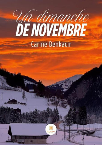 Un dimanche de novembre