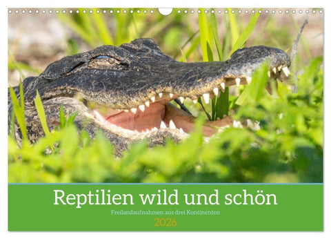 Reptilien wild und schön (Wandkalender 2026 DIN A3 quer), CALVENDO Monatskalender