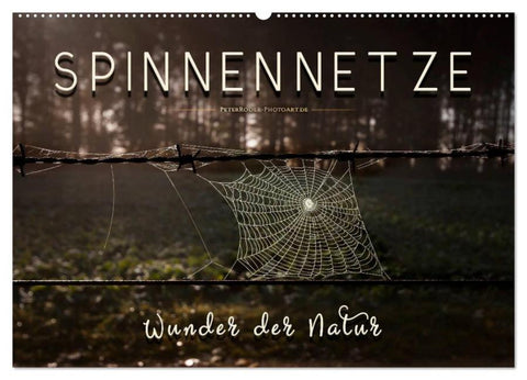 Spinnennetze - Wunder der Natur (Wandkalender 2026 DIN A2 quer), CALVENDO Monatskalender