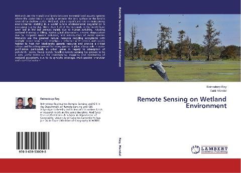 Remote Sensing on Wetland Environment