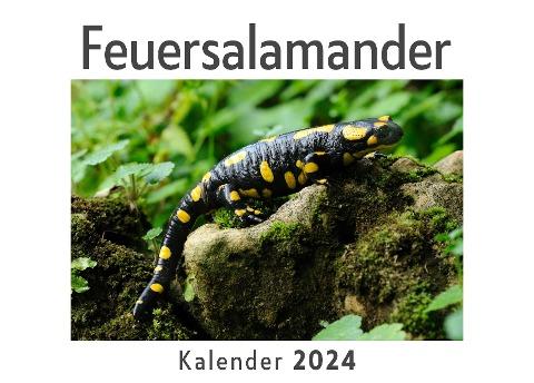 Feuersalamander (Wandkalender 2024, Kalender DIN A4 quer, Monatskalender im Querformat mit Kalendarium, Das perfekte Geschenk)