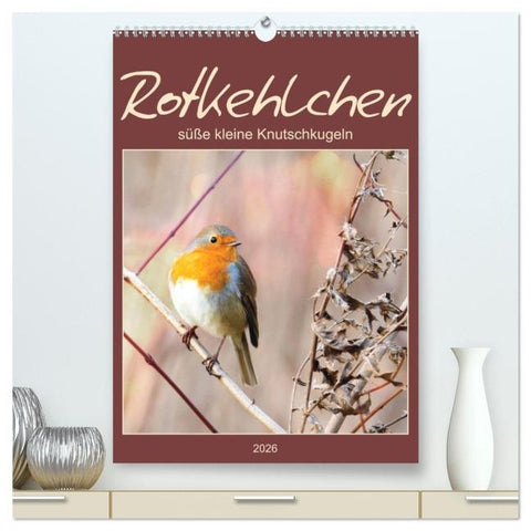 Rotkehlchen, süße kleine Knutschkugeln (hochwertiger Premium Wandkalender 2026 DIN A2 hoch), Kunstdruck in Hochglanz