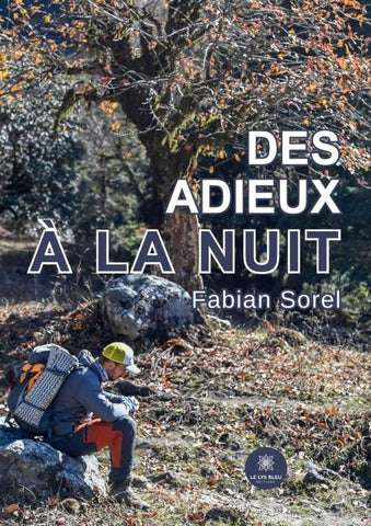 Des adieux à la nuit