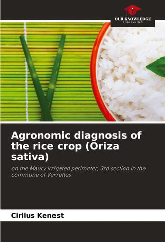 Agronomic diagnosis of the rice crop (Oriza sativa)