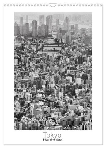 Tokyo - Bilder einer Stadt (Wandkalender 2026 DIN A3 hoch), CALVENDO Monatskalender