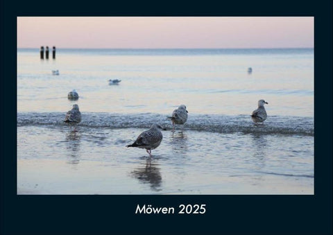 Möwen 2025 Fotokalender DIN A4
