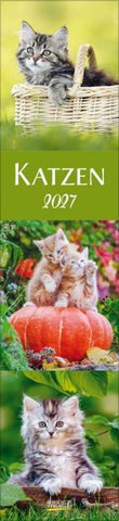 Katzen Langplaner 2027