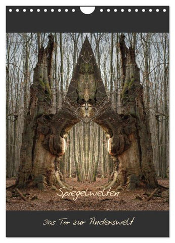 Spiegelwelten - Das Tor zur Anderswelt (Wandkalender 2026 DIN A4 hoch), CALVENDO Monatskalender