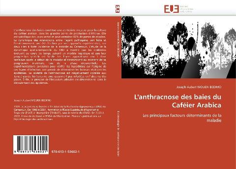 L''anthracnose des baies du Caféier Arabica