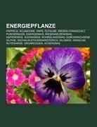 Energiepflanze