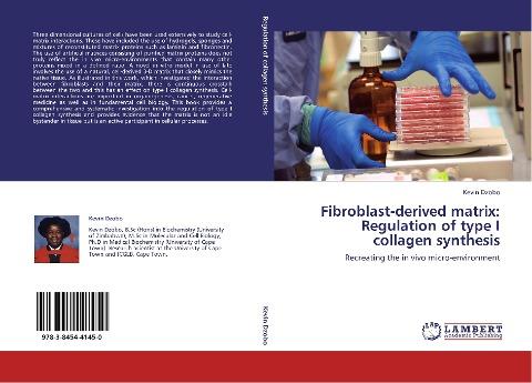 Fibroblast-derived matrix: Regulation of type I collagen synthesis