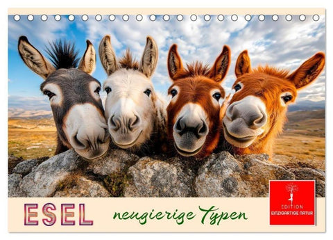 Esel - neugierige Typen (Tischkalender 2027 DIN A5 quer), CALVENDO Monatskalender