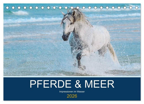 PFERDE & MEER (Tischkalender 2026 DIN A5 quer), CALVENDO Monatskalender