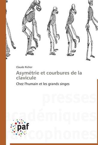 Asymétrie et courbures de la clavicule