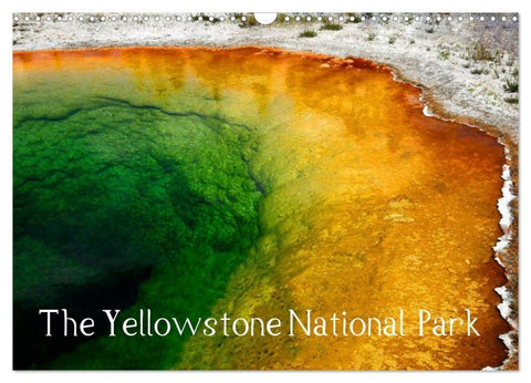 The Yellowstone National Park (Wall Calendar 2026 DIN A3 landscape), CALVENDO 12 Month Wall Calendar