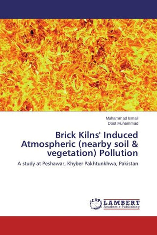 Brick Kilns' Induced Atmospheric (nearby soil & vegetation) Pollution
