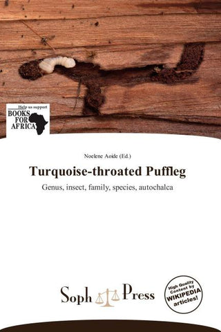 Turquoise-throated Puffleg